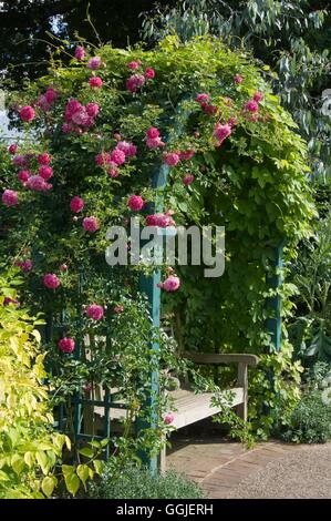 Arbor   MIW251524 Stock Photo