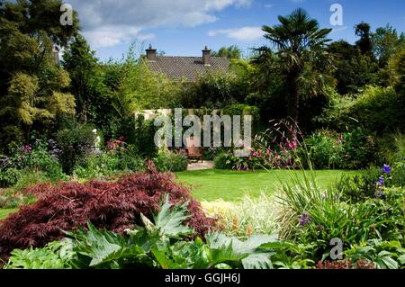 Rear Garden- with Acer and Rheum in foreground- - Please credit: Photos Hort/designer Anna Nolan   MIW252972  Compulso Stock Photo