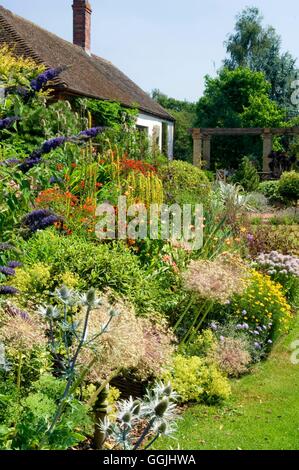 Summer Garden- with Buddleja  Alliums  Eryngium in foreground- - (Please credit: Photos Hort/Ashwoods/John Massey)   M Stock Photo