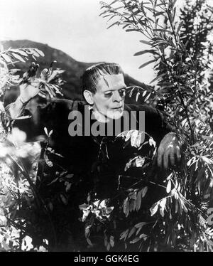 Frankenstein USA 1931 Regie: James Whale Szene: Das Monster (BORIS ...