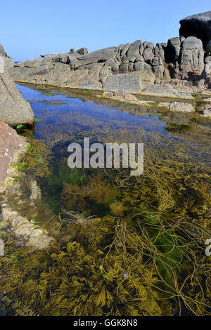 Rock Pool - St Mary's, Isles of Scilly Stock Photo