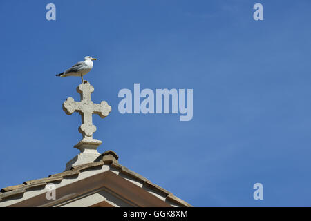 Lonely seagull on the top of a marble cross in Rome Stock Photo