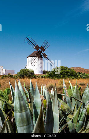 Windmill, museum Centro de Interpretacion de los Molinas, Antigua, Fuerteventura, Canary Islands, Spain Stock Photo