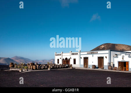 Bodega La Geria, wine region La Geria, Lanzarote, Canary Islands, Spain Stock Photo