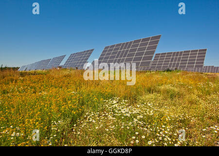 Solar park in summer, Peterswald, Neuental, Hesse, Germany, Europe Stock Photo