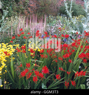 Perennial Border - (Please credit: Photos Horticultural/ Arley Hall and Gardens  Cheshire)   PGN089976  Compulsory Cre Stock Photo