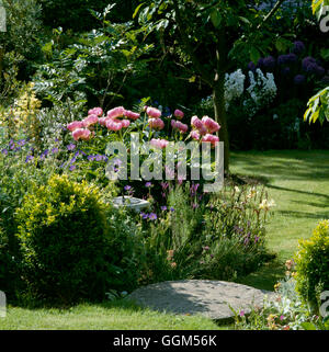 Summer Garden - (Please Credit: Photos Hort/ Roy Lancaster's Garden)   SUM058562     Photos Horticul Stock Photo