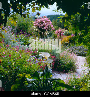 Summer Garden - (Please credit: Photos Horticultural/ Rosemoor RHS - Garden) - (DIARY RIGHTS SOLD 2000)   SUM072535  C Stock Photo