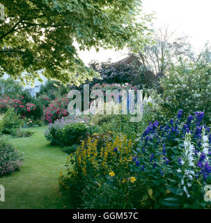 Summer Garden - (Please credit: Photos Hort/ Garden House  Moulton)   SUM092344     Photos Horticult Stock Photo