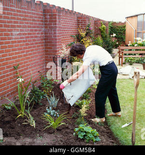 Planting - Perennials - Creating a new border - mulching with forest bark   TAS025260     Photos Hor Stock Photo