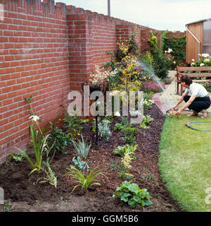 Planting - Perennials - Creating a new border - watering in   TAS025262 Stock Photo