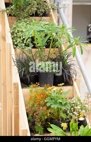 30th July 2016 - Farmopolis at the Jetty at Greenwich Peninsula displaying left over flowers and plants from Chelsea Flower Show Stock Photo