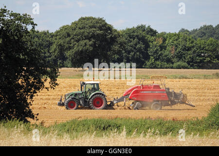 Chessington, Surrey, UK. 6th August 2016. Making hay while the sun shines at Chessington, Surrey, England. A warm day with blue skies make perfect conditions for harvesting the wheat and bailing up the hay. Credit:  Julia Gavin UK/Alamy Live News Stock Photo