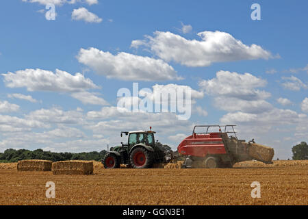 Chessington, Surrey, UK. 6th August 2016. Making hay while the sun shines at Chessington, Surrey, England. A warm day with blue skies make perfect conditions for harvesting the wheat and bailing up the hay. Credit:  Julia Gavin UK/Alamy Live News Stock Photo