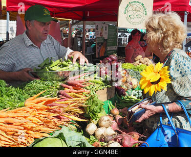 Annabel Elliott who is the sister of Camilla Duchess of Cornwall opened the Poundbury Food Festival at Dorchester, Dorset Stock Photo