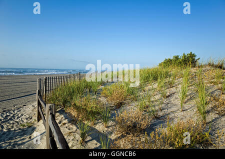Fragile sand dunes along the New Jersey shoreline in late summer. Stock Photo