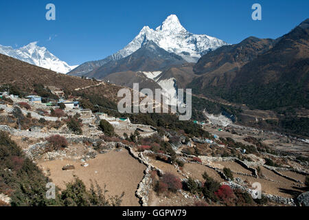 Majestic Amadablam mountain in background seen in Khumbu region Everest valley Sagarmatha National Park Nepal Stock Photo