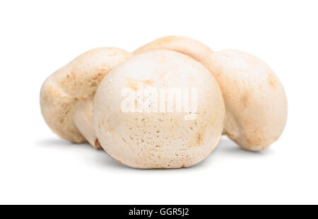 Fresh mushroom champignon  isolated on white background Stock Photo