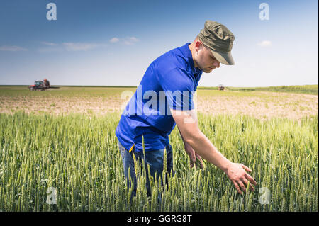 young farmer in a field of wheat Stock Photo