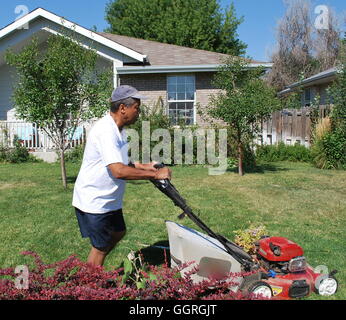Man mowing the lawn outside. Stock Photo