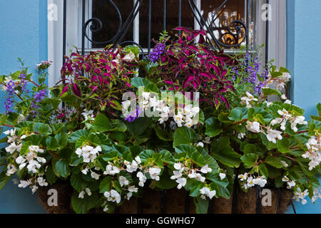Flower boxes are part of the design of the Southern mansion - CHARLESTON, SOUTH CAROLINA Stock Photo