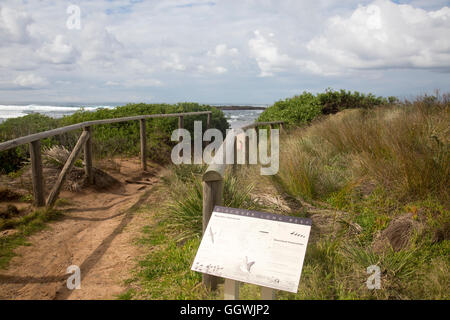 Long Reef a beachside suburb on Sydney northern beaches,popular with walkers at weekends and known for its golf course,Australia Stock Photo