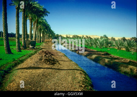 Irrigation Nile Valley Egypt Stock Photo, Royalty Free Image: 35990490 ...