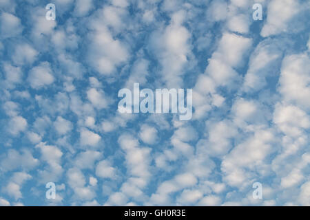 Altocumulus Clouds against blue sky Stock Photo