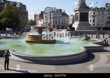 Trafalgar Square, London, UK. 8th August, 2016.  Blue skies over Trafalgar Square in Londo Credit: Keith Larby/Alamy Live News Stock Photo