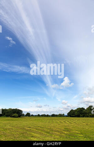 High altitude cirrus clouds over a field on a Summer day in Shropshire, England, UK Stock Photo