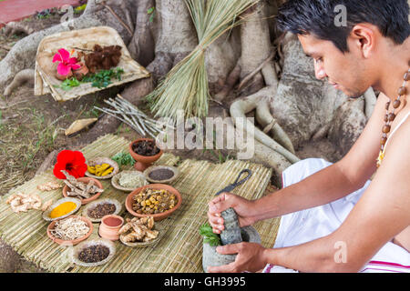 A young Indian doctor preparing traditional ayurvedic, herbal, medicine. Stock Photo
