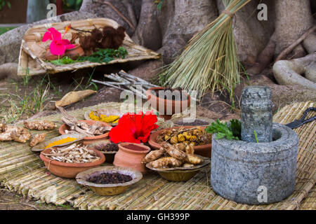 A traditional Ayurveda and natural medicine apothecary with stone mortar and pestle, herbs and spices. Stock Photo