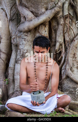 A young Indian doctor preparing traditional ayurvedic, herbal medicine. Stock Photo