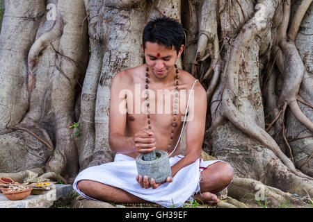 A young Indian doctor preparing traditional ayurvedic, herbal medicine. Stock Photo