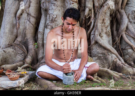 A young Indian doctor preparing traditional ayurvedic, herbal medicine. Stock Photo