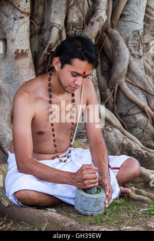 A young Indian doctor preparing traditional ayurvedic, herbal medicine. Stock Photo