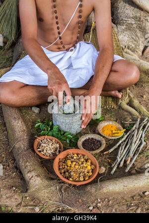 A young Indian doctor preparing traditional ayurvedic, herbal, medicine. Stock Photo