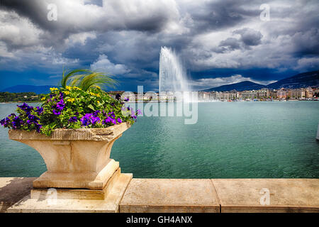 View of the Jet d'Eau Water Jet Fountain in Lake Geneva, Geneva, Switzerland Stock Photo