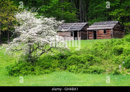 Low Angle View of Two Reconstructed Soldiers Hut of the Revolutionary War in Spring Time, Jockey Hollow, Morristown, New Jersey Stock Photo