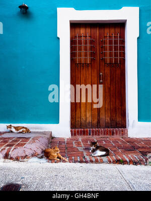 Low Angle View of Three Stray Cats Lying Down on the Street in Front of a Traditional Spanish Colonial House, Old San Juan, Puer Stock Photo