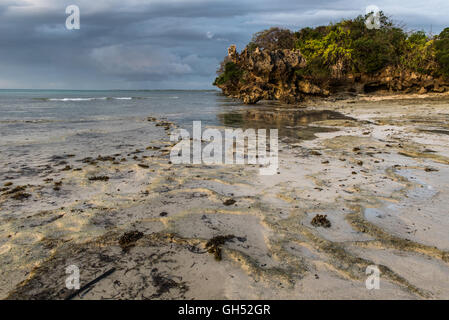 Beach on Quilaleveningea Island in the Quirimbas Archipelago Stock Photo
