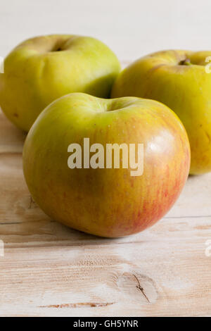 Bramley cooking apples or Malus domestica 'Bramley's Seedling' a popular British variety for making pies and desserts Stock Photo