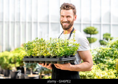 Gardener holding pots with plants Stock Photo