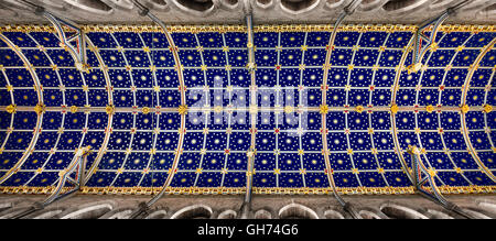 Carlisle cathedral's ceiling. Stock Photo