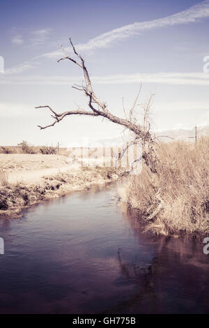 Water diversion canal with a dead tree in the high desert near Bishop California. Stock Photo