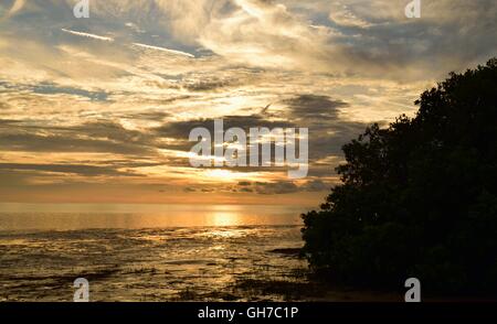 Just before sunset at a beach on a stormy evening in Florida. Stock Photo