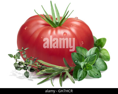Heirloom tomato, thyme,rosemary,oregano. Ingredients for sauce. Clipping paths, shadow separated Stock Photo