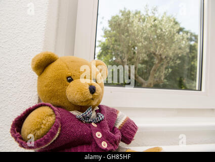 Hanover, Germany. 05th Aug, 2016. A teddy bear sits in front of a window through which an olive tree can be seen at the Network for Traumatized Refugees in Lower Saxony in Hanover, Germany, 05 August 2016. The Network for Traumatized Refugees in Lower Saxony sees to the urgent treatment and placement in psychological care for traumatized refugees. Photo: SEBASTIAN GOLLNOW/dpa/Alamy Live News Stock Photo