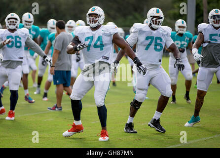 Miami Dolphins offensive tackle Branden Albert receives treatment on ...