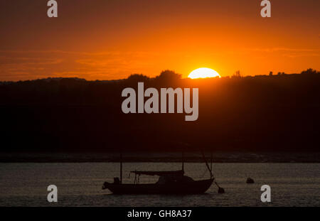 West Mersea, Essex, UK. 9th August, 2016. UK Weather: The sun goes down behind Yachts at anchor in West Mersea on the River Blackwater in Essex. Andrew O'Brien/Alamy Live News Stock Photo